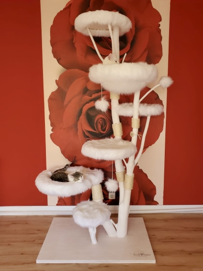 Naturkratzbaum im Boutique Stil