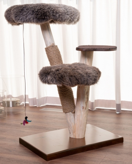 Natural wood cat tree - Lupus -