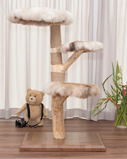 Natural wood cat tree - Summer -