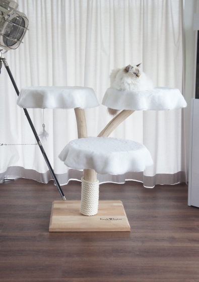 Natural wood cat tree – Acrux