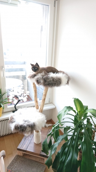 von hier aus kann ich super aus dem Fenster sehen