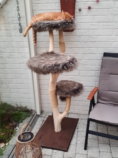 Naturkratzbaum Einzelanfertigung für Yoda