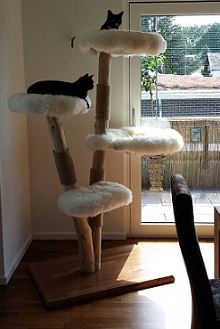 Natural wood cat tree - Melanie-