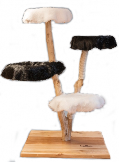 Natural wood cat tree - Emmi -