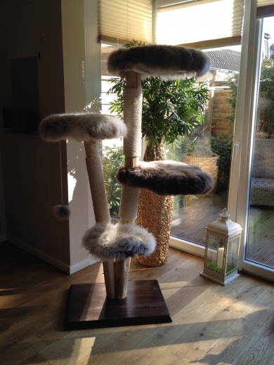 Natural wood cat tree - Grace -