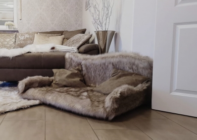 Katzensofa King Size ;-)