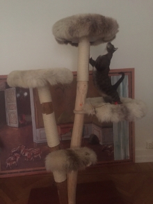 Natural wood cat tree - Hania -