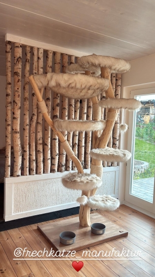 Naturkratzbaum für Anna