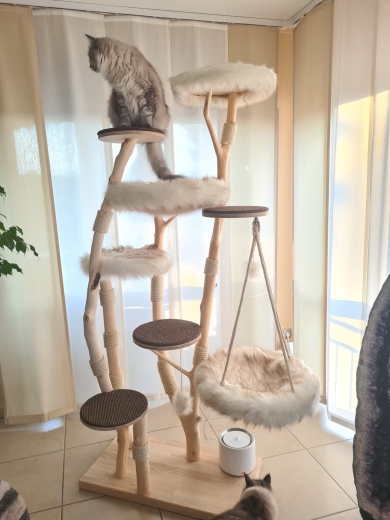Naturkratzbaum mit Hängeschaukel